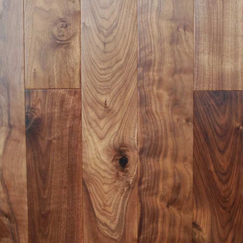 American Black Walnut